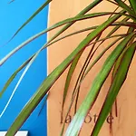 La Maison Bisca Biscarrosse-Plage