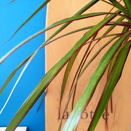 La Maison Bisca Guest house Biscarrosse-Plage