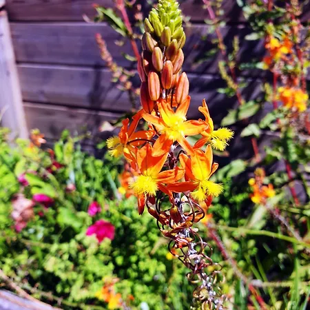 La Maison Bisca 4* Biscarrosse-Plage