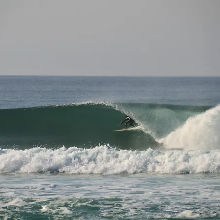 La Maison Bisca 4* Biscarrosse-Plage