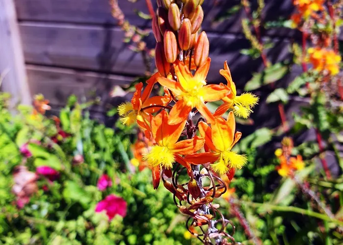 La Maison Bisca 4* Biscarrosse-Plage