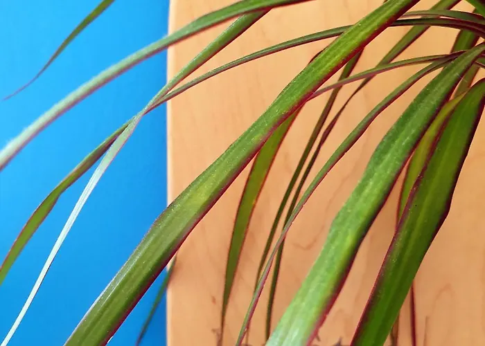 La Maison Bisca Biscarrosse-Plage