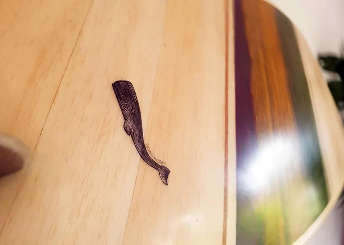 La Maison Bisca Biscarrosse-Plage