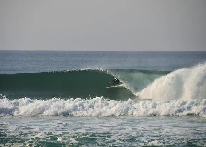 La Maison Bisca 4* Biscarrosse-Plage