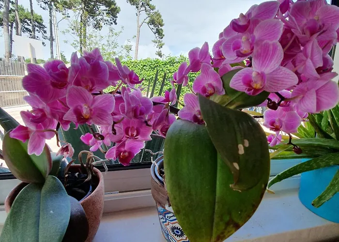 La Maison Bisca Vendégház 4*